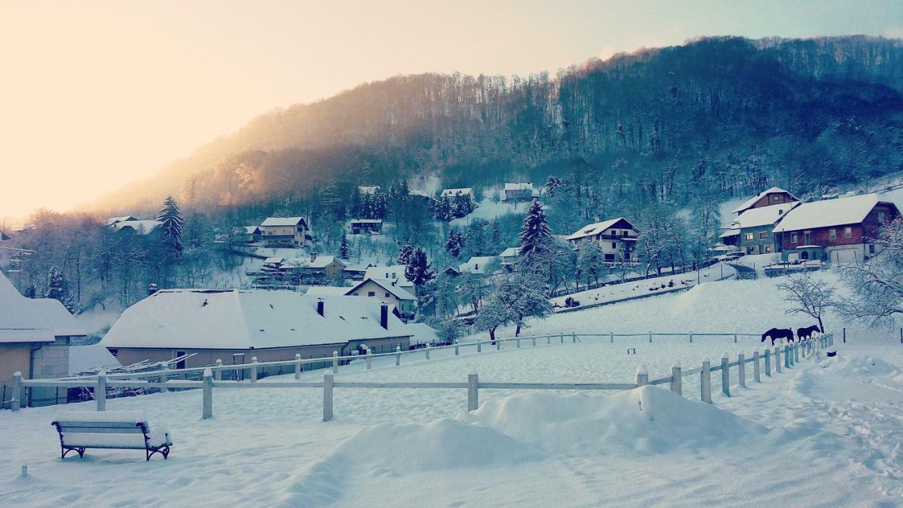 Farm Stay Zevnik Брежице Экстерьер фото